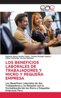 Beneficios Laborales de Trabajadores Y Micro Y Pequeña Empresa