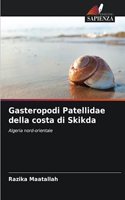 Gasteropodi Patellidae della costa di Skikda