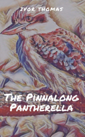 The Pinnalong Pantherella