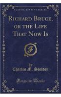 Richard Bruce, or the Life That Now Is (Classic Reprint)