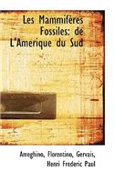 Les Mammif Res Fossiles: de L'Am Rique Du Sud
