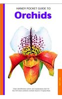 Handy Pocket Guide to Orchids