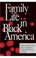 Family Life in Black America