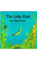 The Little Fish in a Big Pond
