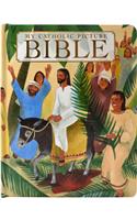 My Catholic Picture Bible