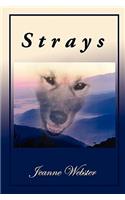 Strays