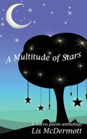 Multitude of Stars