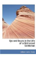 Ups and Downs in the Life of a Distressed Gentleman