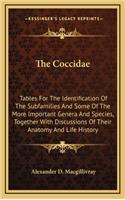 The Coccidae