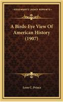 A Birds-Eye View Of American History (1907)
