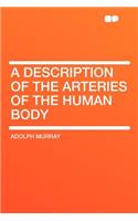 A Description of the Arteries of the Human Body