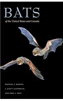 Bats of the United States and Canada