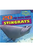20 Fun Facts about Stingrays