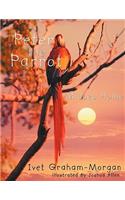 Peter the Parrot Misses Home: Misses Home