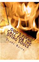 God's Final Call for the Dying Souls: What is God saying to today's generation?(English)