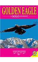 Golden Eagles: A Solo Journey