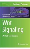 Wnt Signaling