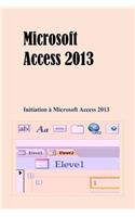 Microsoft Access 2013