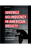 Juvenile Delinquency in American Society