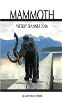 Mammoth Weekly Planner 2016: 16 Month Calendar