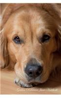 Golden Retriever June Notebook Golden Retriever Record, Log, Diary, Special Memories, To Do List, Academic Notepad, Scrapbook & More