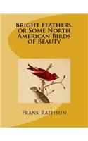 Bright Feathers, or Some North American Birds of Beauty