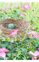 Such a Lovely Blue Robin's Egg in a Nest and Pink Flowers Journal