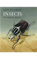 How to Draw Insects (Facsimile Reprint)