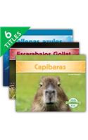 Especies Extraordinarias Set 1 (Super Species) (Set)