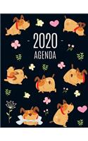 Cane Felice Agenda 2020