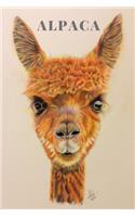 Alpaca Notebook