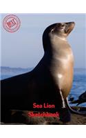 Sea Lion Sketchbook: (Sketchbooks for Drawing)