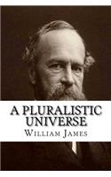 A Pluralistic Universe