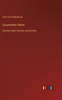 Gesammelte Werke: Sechster Band: Romane und Novellen