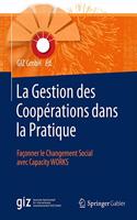 La Gestion Des Coopérations Dans La Pratique: Façonner Le Changement Social Avec Capacity Works