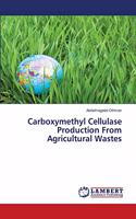 Carboxymethyl Cellulase Production From Agricultural Wastes