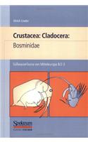 Susswasserfauna Von Mitteleuropa, Bd. 08/2-3 Crustacea Cladocera Bosminidae