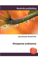 Oreopanax Andreanus: (English)