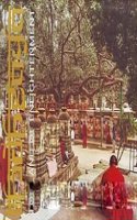 BODHGAYA THE LAND OF ENLIGHTENMENT