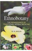 Ethnobotany: The Renaissance Of Traditional Herbal Medicine