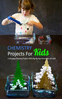 Chemistry Projects For Kids
