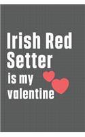 Irish Red Setter is my valentine: For Irish Red Setter Dog Fans