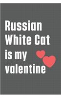 Russian White Cat is my valentine: For Russian White Cat Fans