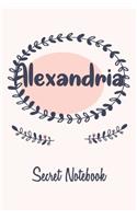 Alexandria Secret Notebook