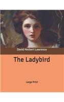 The Ladybird: Large Print