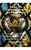 Bailey the Siamese Cat and the Nasty Mean Dragon