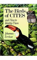 Birds of Cites