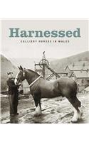 Harnessed  Colliery Horses in Wales