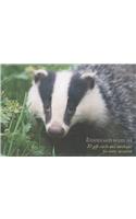 Woodland Wildlife Gift Card Pack