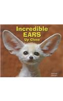 Incredible Ears Up Close: (Animal Bodies Up Close)